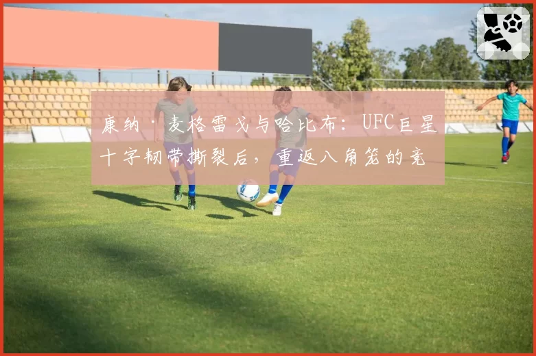 康纳·麦格雷戈与哈比布:UFC巨星十字韧带撕裂后,重返八角笼的竞技状态对比