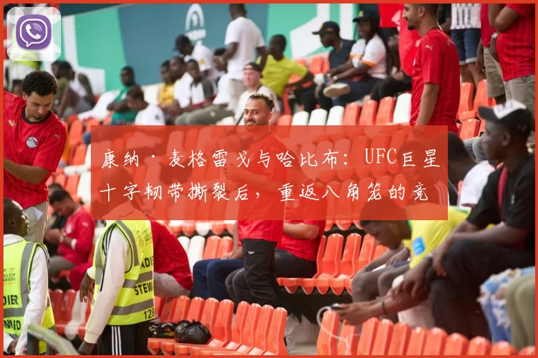 康纳·麦格雷戈与哈比布:UFC巨星十字韧带撕裂后,重返八角笼的竞技状态对比