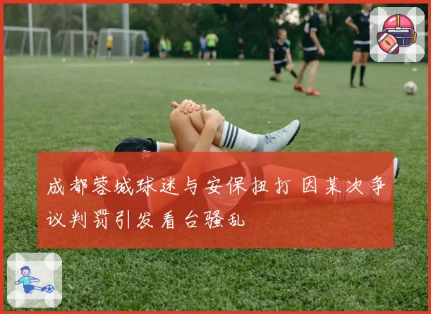 成都蓉城球迷与安保扭打 因某次争议判罚引发看台骚乱