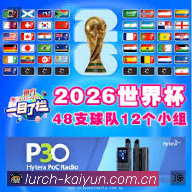 结构优化认证展示